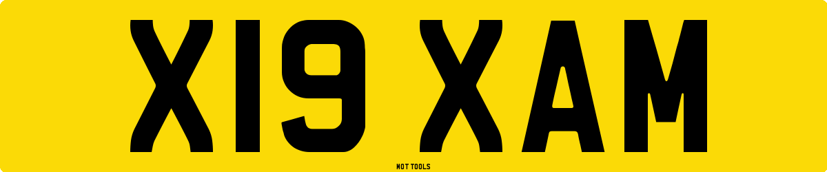 X19XAM MOT Check