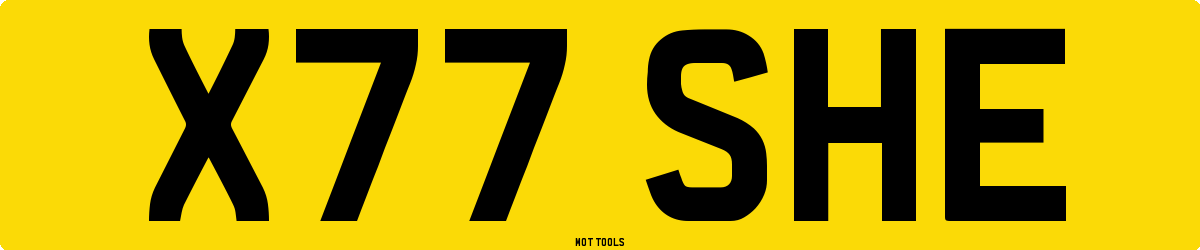 X77SHE MOT Check