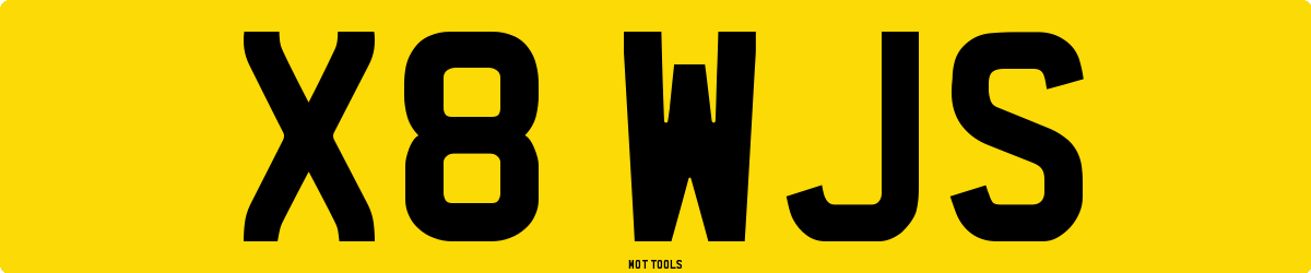 X8WJS MOT Check