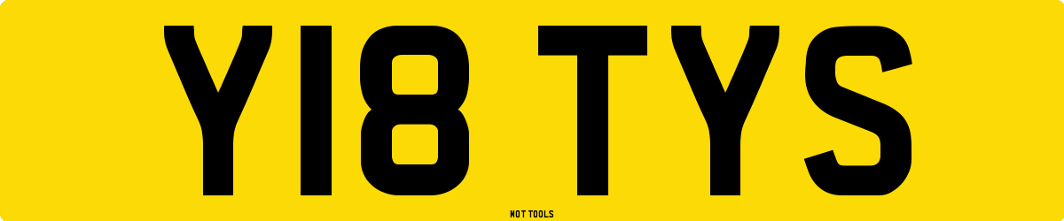 Y18TYS MOT Check