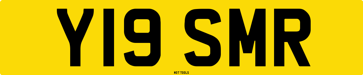 Y19SMR MOT Check