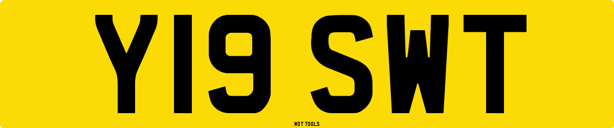 Y19SWT MOT Check