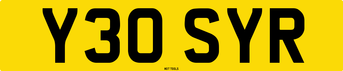 Y30SYR MOT Check