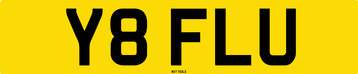 Y8FLU MOT Check