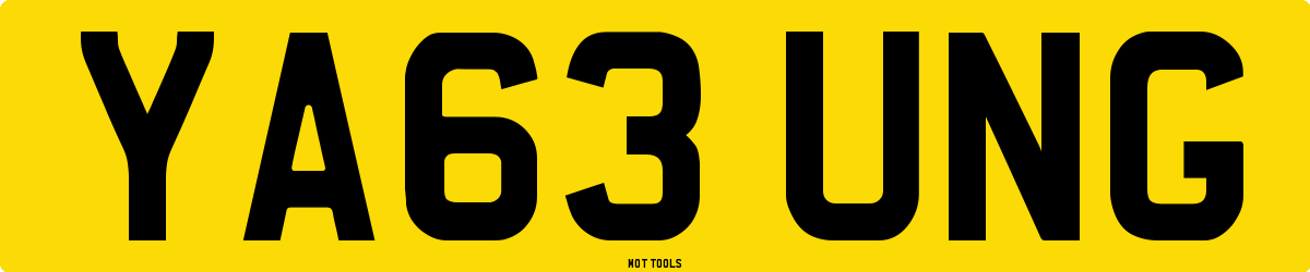 YA63UNG MOT Check
