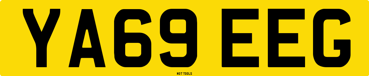 YA69EEG MOT Check