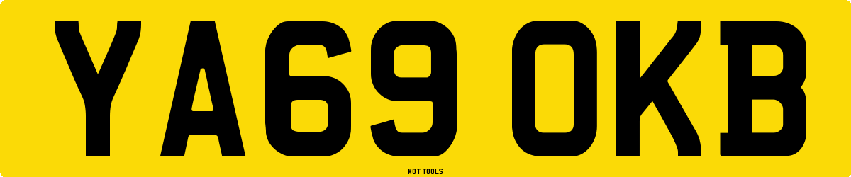 YA69OKB MOT Check