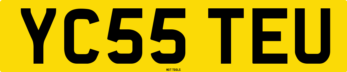 YC55TEU MOT Check