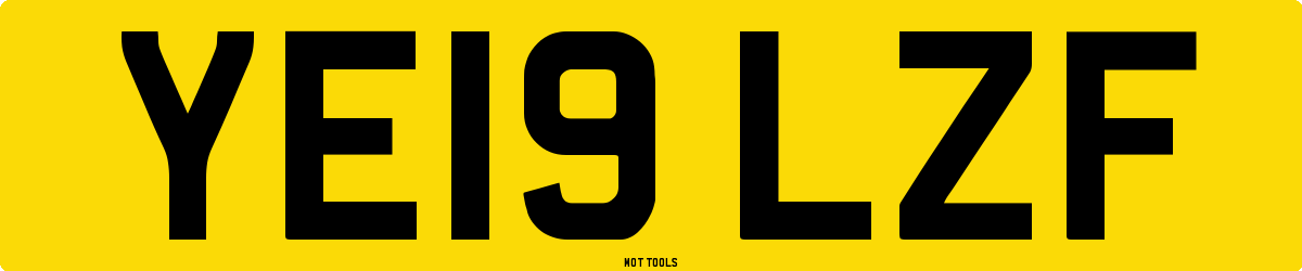 YE19LZF MOT Check