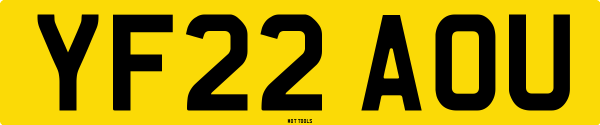 YF22AOU MOT Check