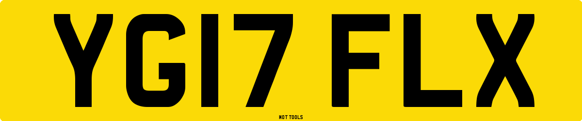 YG17FLX MOT Check