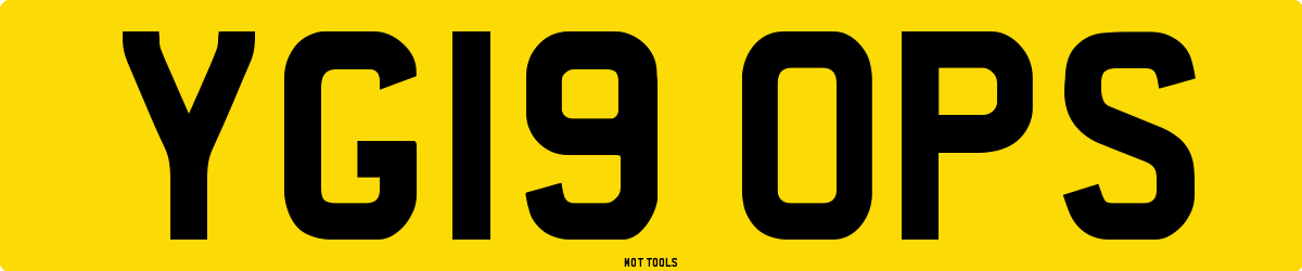 YG19OPS MOT Check