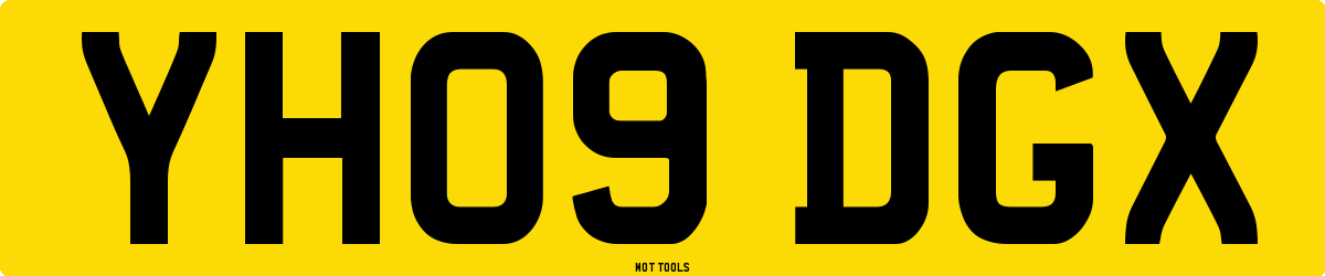 YH09DGX MOT Check
