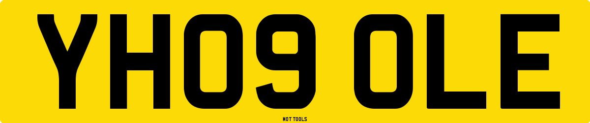 YH09OLE MOT Check