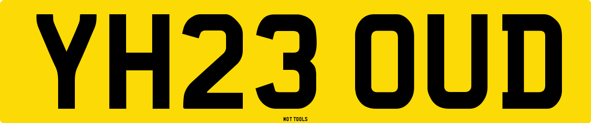 YH23OUD MOT Check