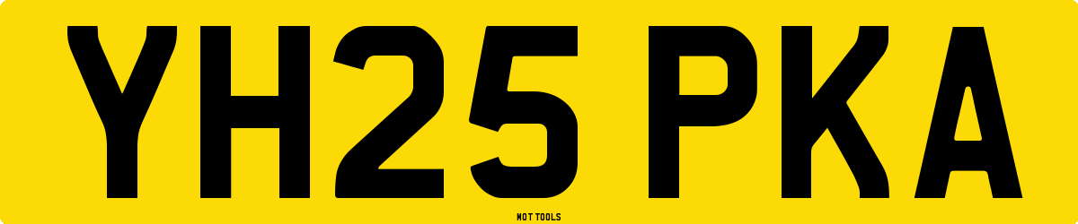 YH25PKA MOT Check