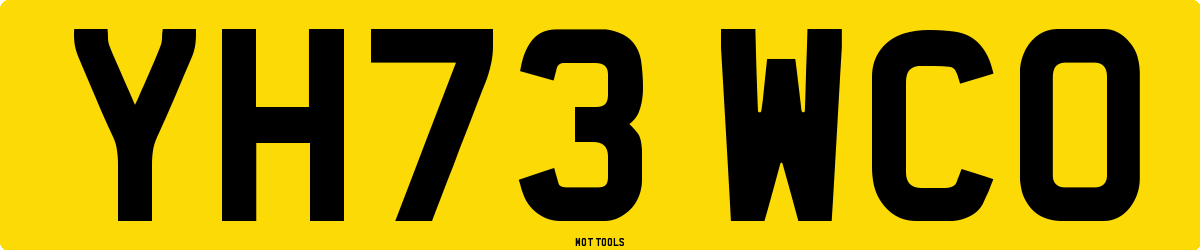 YH73WCO MOT Check