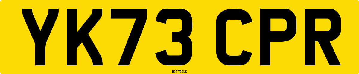 YK73CPR MOT Check