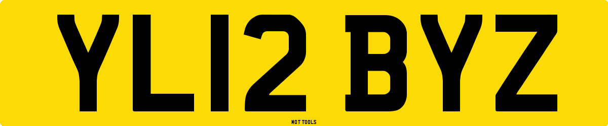YL12BYZ MOT Check