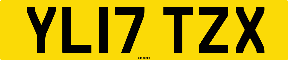 YL17TZX MOT Check