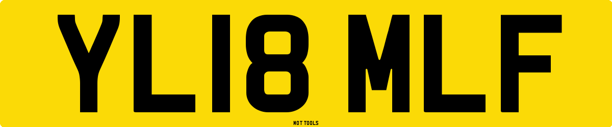 YL18MLF MOT Check