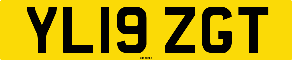 YL19ZGT MOT Check