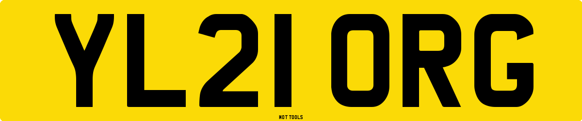 YL21ORG MOT Check
