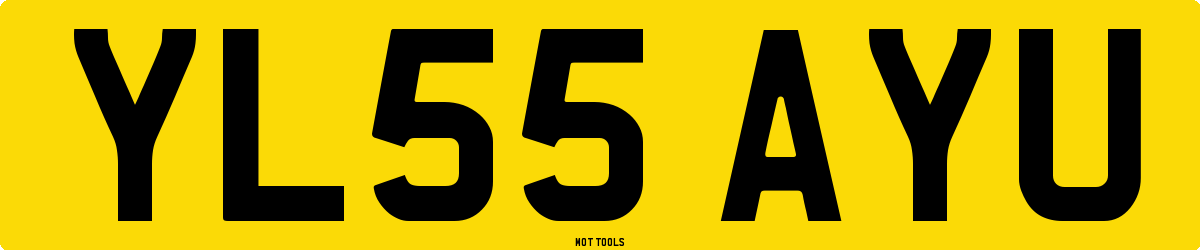 YL55AYU MOT Check
