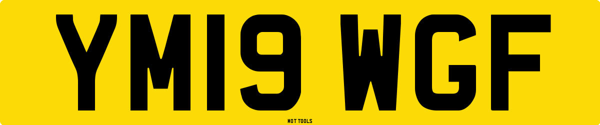 YM19WGF MOT Check