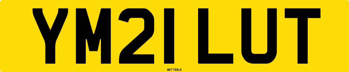 YM21LUT MOT Check