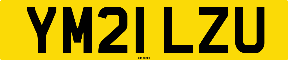 YM21LZU MOT Check