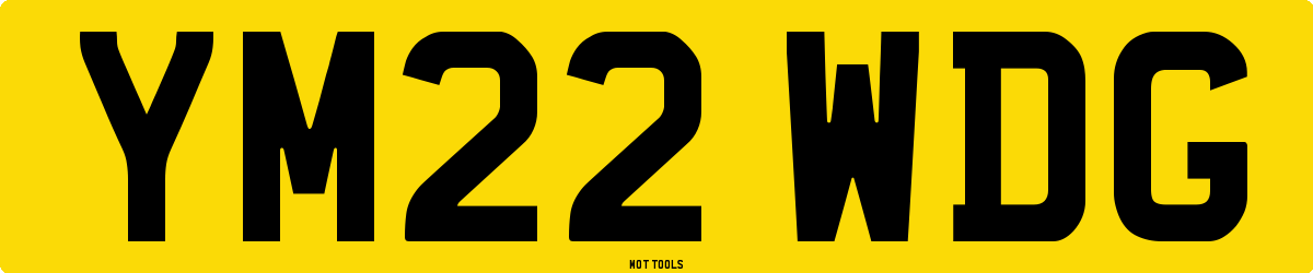 YM22WDG MOT Check