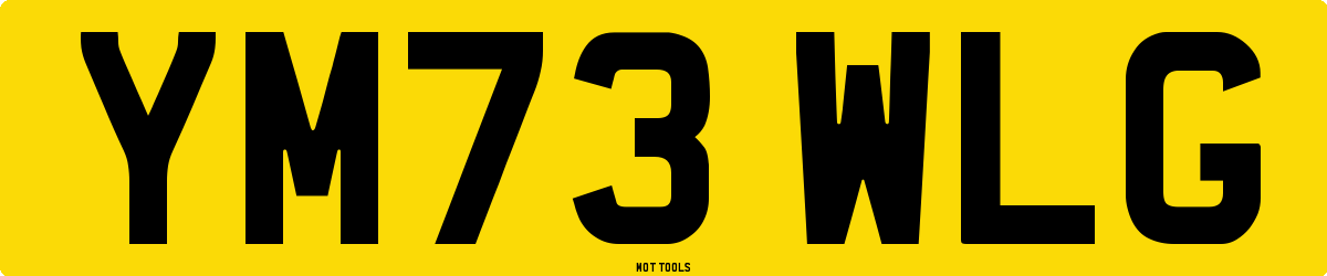 YM73WLG MOT Check