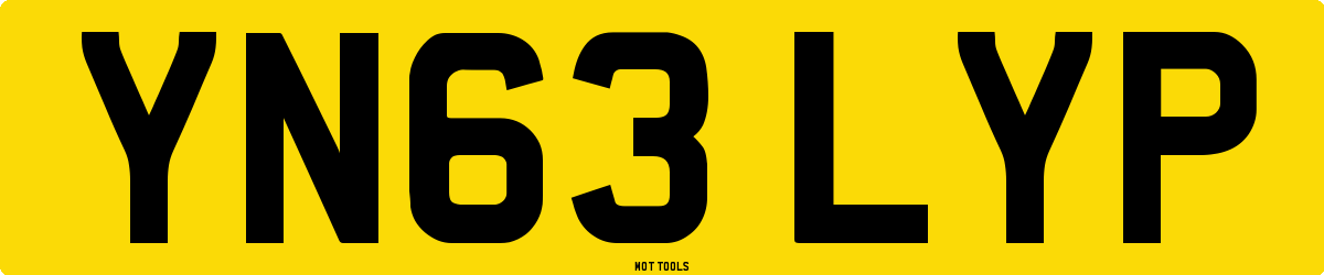 YN63LYP MOT Check