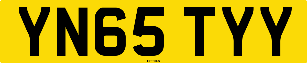 YN65TYY MOT Check