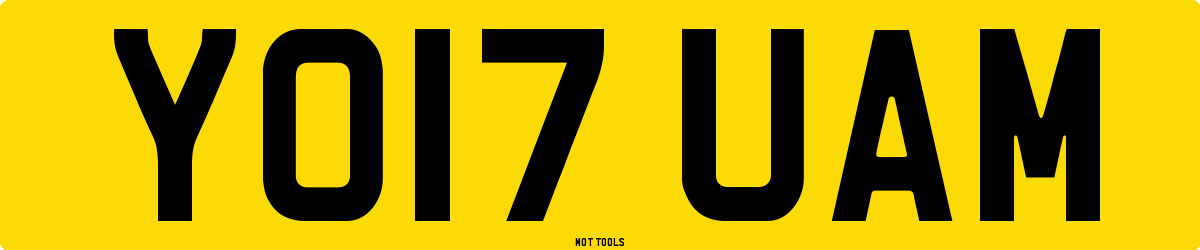 YO17UAM MOT Check