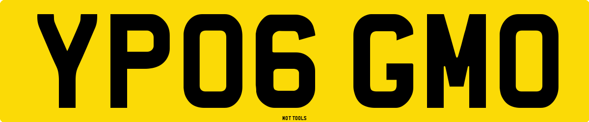 YP06GMO MOT Check