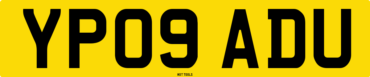 YP09ADU MOT Check