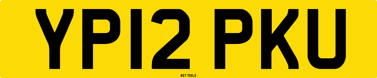 YP12PKU MOT Check