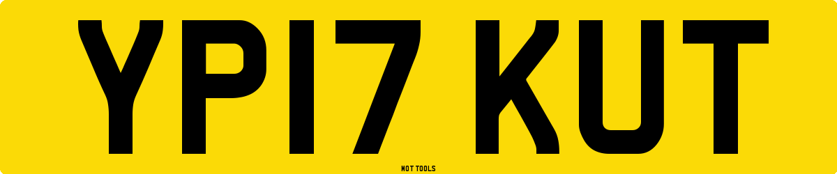 YP17KUT MOT Check