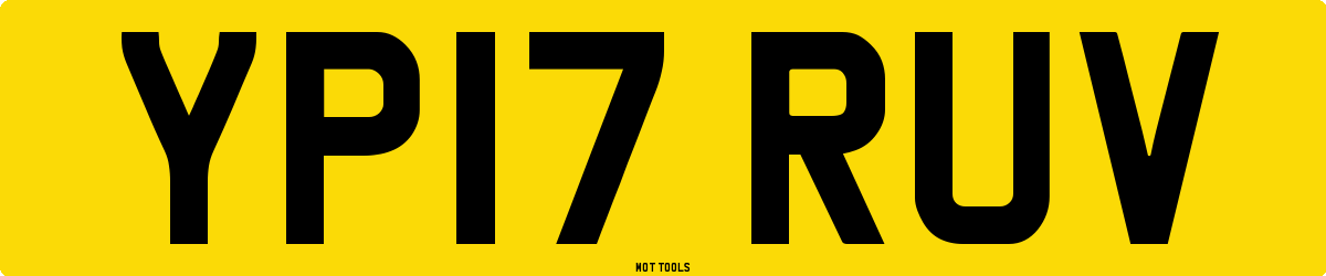 YP17RUV MOT Check