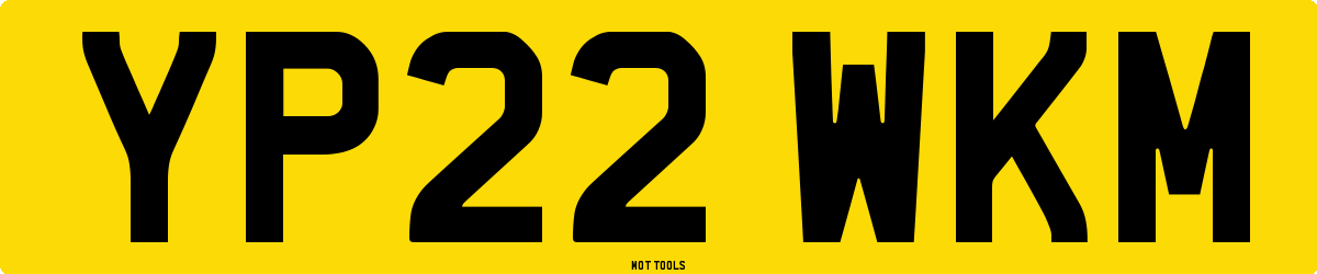 YP22WKM MOT Check