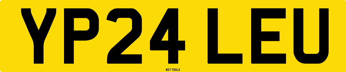 YP24LEU MOT Check