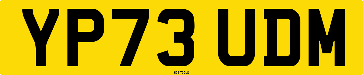 YP73UDM MOT Check