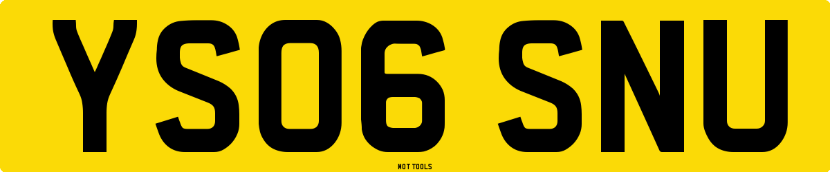 YS06SNU MOT Check