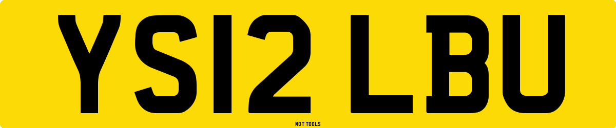 YS12LBU MOT Check