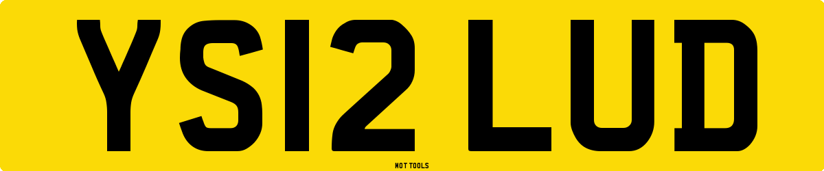 YS12LUD MOT Check