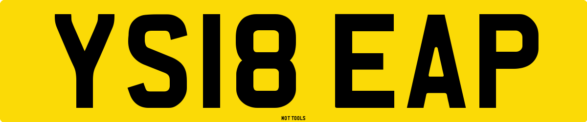 YS18EAP MOT Check