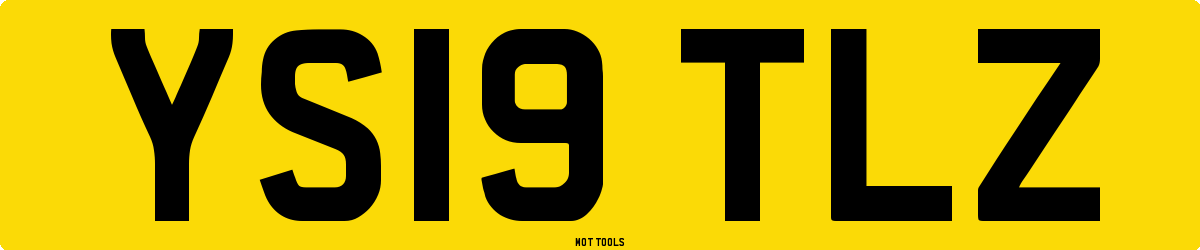 YS19TLZ MOT Check
