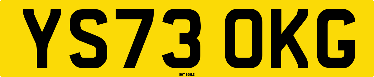 YS73OKG MOT Check